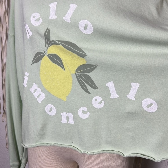 Wildfox Mint Colored “Hello Limoncello” Oversized Sweatshirt XS/L - Picture 5 of 9